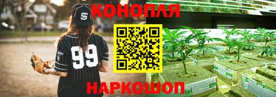 ГАЛЛЮЦИНОГЕННЫЕ ГРИБЫ Волжский