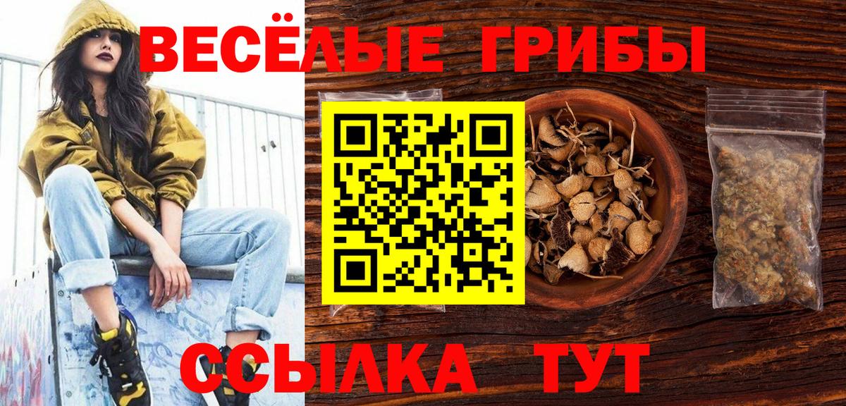 Нижний Новгород  Псилоцибиновые грибы Psilocybine cubensis  Вход с VPN 