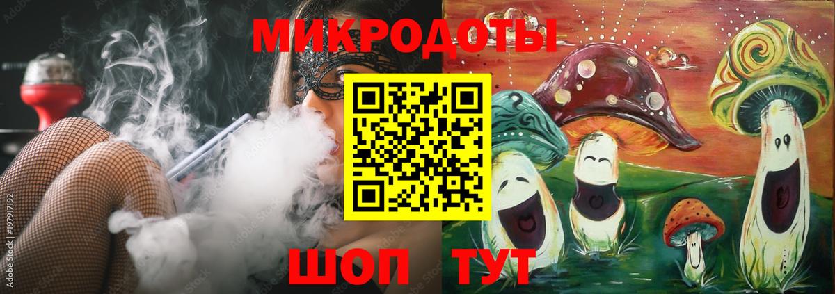Галлюциногенные грибы Psilocybe Нижний Новгород